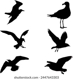 Segal bird drawing Silhouettes. These simple flat shapes are designed for your next coming project