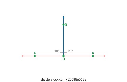 The segment AC is perpendicular to the segment BD in geometry.