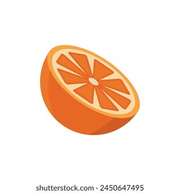 Segmented orange fruit flat vector illustration