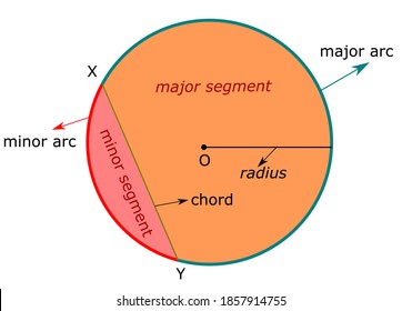 Segments in a circle. Educational material.
