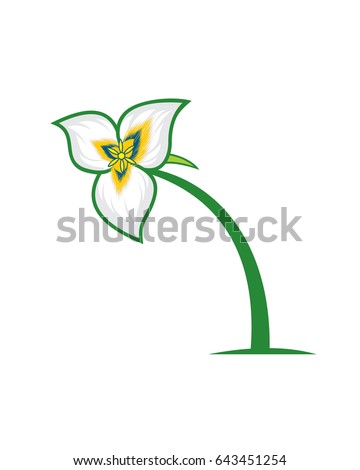 Sego Lily