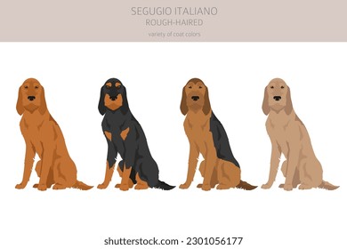 Segugio Italiano rough haired clipart. Different poses, coat colors set.  Vector illustration