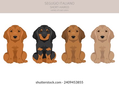 Segugio Italiano short haired puppies clipart. Different poses, coat colors set.  Vector illustration