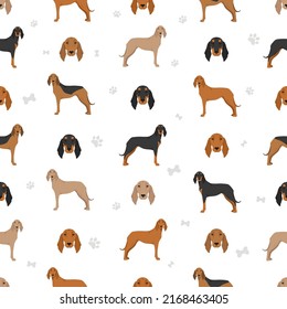 Segugio Italiano short haired seamless pattern. Different poses, coat colors set.  Vector illustration