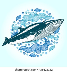 Sei Whale, Hand drawn vector illustration. Drawn in ink.