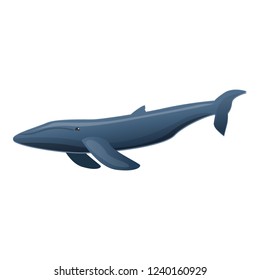 Sei whale icon. Cartoon of sei whale vector icon for web design isolated on white background