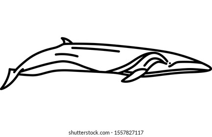 Sei Whale Illustration Icon Graphic