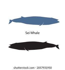 Sei Whale silhouette vector illustrations isolated on white background. Ocean wildlife mammals collection. Silhouette of different types of whales, sea animals. Fish and sea life silhouette graphic.