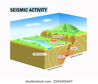 Diagrama da atividade sísmica. Ilustração do vetor 3d da educação científica