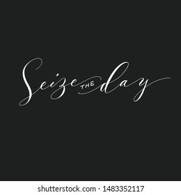 Seize Day Calligraphic Quote Stock Vector (Royalty Free) 1483352117 |  Shutterstock