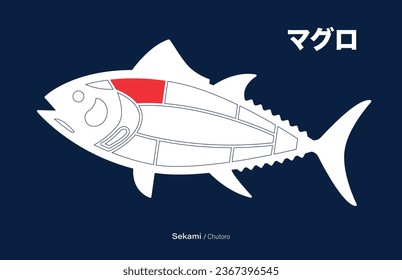 Sekami Chutoro, Tuna japanese Cuts diagram on blue background.