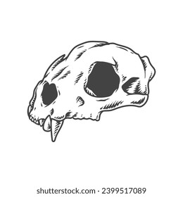 Seketch Animal Skull Hand Drawing