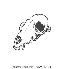 Seketch Animal Skull Hand Drawing