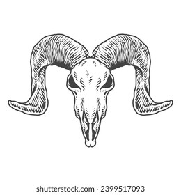 Seketch Animal Skull Hand Drawing