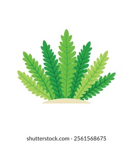 
Selaginella flower isolated flat vector illustration on white background