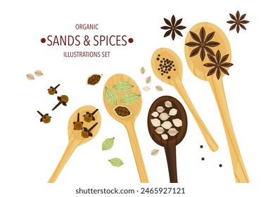 Selected herbs, spices, and different spices on a wooden spoon In vintage style isolated on a white background, vector illustration.