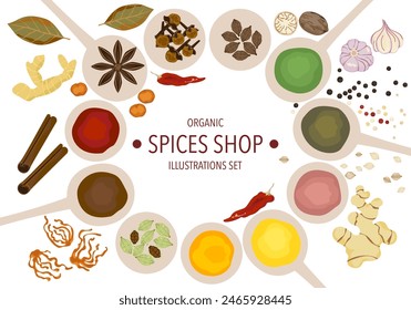 Selected herbs, spices, and different spices on a wooden spoon In vintage style isolated on a white background, vector illustration.