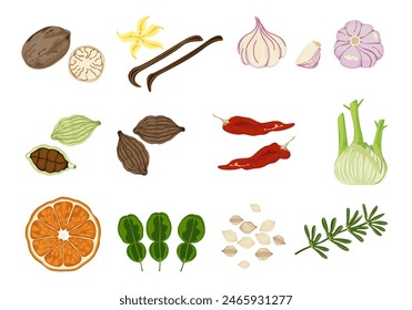 Selected spices, different spices vanilla, garlic, cardamom, chili pepper, kaffir lime leaves, dehydrated orange, and rosemary in vintage style isolated on a white background, vector illustration.