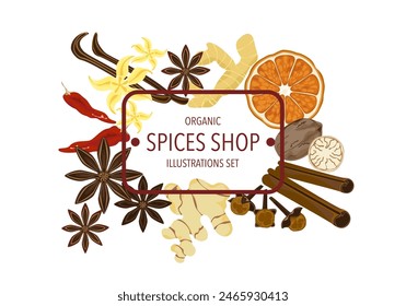 Selected spices herbs, and different spices in vintage style isolated on a white background, vector illustration.