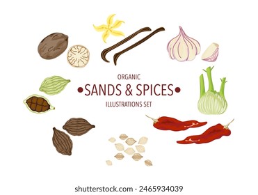 Selected spices herbs, and different spices in vintage style isolated on a white background, vector illustration.