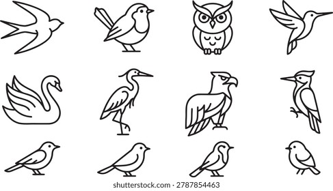 Selection of birds in active flight and perching poses