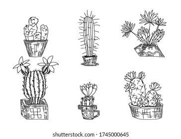 selection of cacti in pots sketch doodle drawings. vector