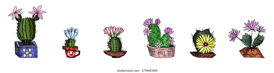 a selection of cacti with potted flowers. doodle sketch drawing vector