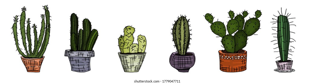 una selección de dibujos de cactus en una olla de arcilla. vector de dibujo de dibujo de dibujos de dibujos