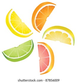 A selection of citrus fruit slices arranged into a revolving shape. Illustrated are lemon, lime, orange, pink grapefruit and pomelo fruit.