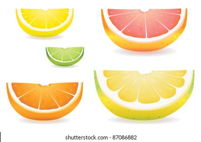 A selection of citrus fruit slices in proportional sizes. Illustrated are lemon, lime, orange, pink grapefruit and pomelo fruit.