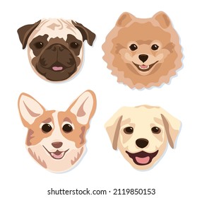 A selection of cute muzzles of spitz, pug and labrador dog breeds.