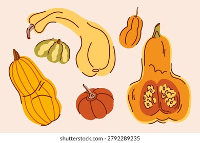 A selection of fall pumpkin varieties, a variety of shapes, delicata, butternut squash