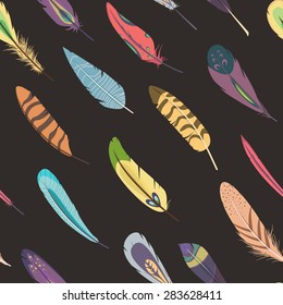 Selection of feathers. Pattern of feather. Outfit of feathers