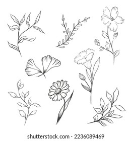 selection of flowers in the technique of hand drawing