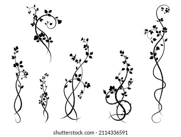 selection for frame elements rose plants. doodle sketch vector stock