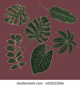 A selection of green tropical leaves, monstera leaves and palm leaves on a dark red background