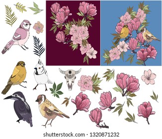 A selection of hand drawn flowers and birds for you to use to design endless images such as cards, prints, wallpaper, clothing etc 