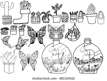 a selection of hand drawn images to color in, ranging from plants to butterflies and vases with a story inside.