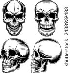 A selection of hand-drawn skulls. Vector set of skulls.