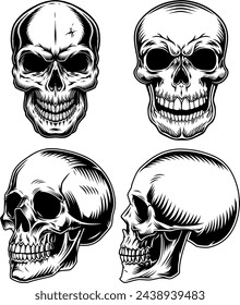 A selection of hand-drawn skulls. Vector set of skulls.