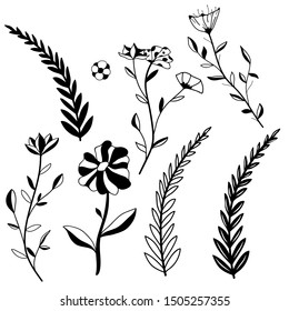 A selection of illustrations of beautiful leaves, flowers and grass