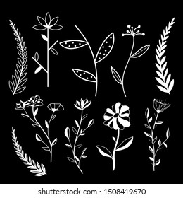 A selection of illustrations of beautiful leaves, flowers and grass