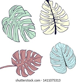 A selection of illustrations of the green, yellow, red and blue tropical leaves of Monstera
