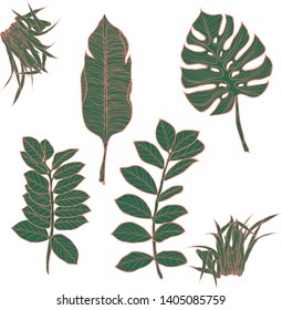 A selection of illustrations of green-orange tropical palm leaves, monsteras