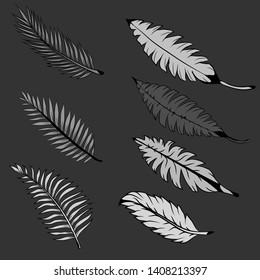 A selection of illustrations of tropical gray and black leaves on a black background