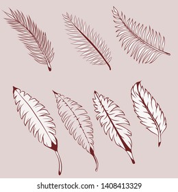 A selection of illustrations of tropical pink leaves on a pink background