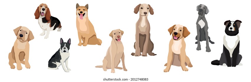 A selection of nine realistic dogs of different breeds on a white background - Vector illustration