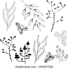 A selection of plants in black and white