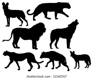 Selection of predator silhouettes (wild dog, cheetah, leopard, lion, wolf, hyena and jackal)