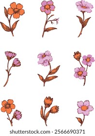 A selection of stunning wild herbs, blooming flowers, herbaceous plants, shrubs, and subshrubs, all isolated on a white background. Intricately hand-drawn botanical vector artwork.